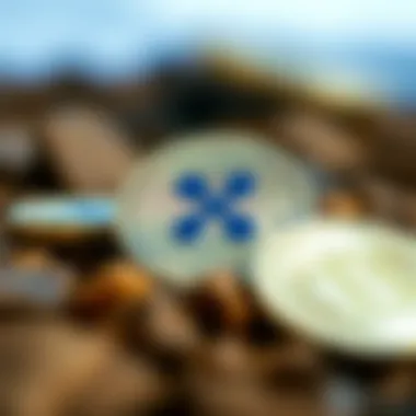 Notable A Comprehensive Guide to Purchasing Ripple Now