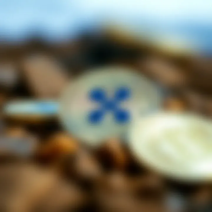 Notable A Comprehensive Guide to Purchasing Ripple Now