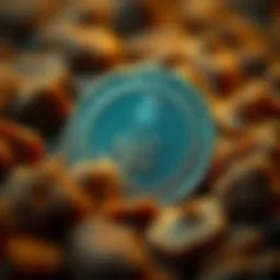 Comprehensive Analysis of Reef Crypto Price Dynamics Introduction