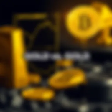 Investment strategy infographic comparing cryptocurrency and gold