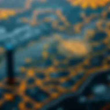 Infographic showcasing regulatory frameworks