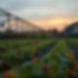 Exploring Farming as a Service: The Future of Agriculture and Technology Introduction