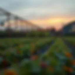 Exploring Farming as a Service: The Future of Agriculture and Technology Introduction