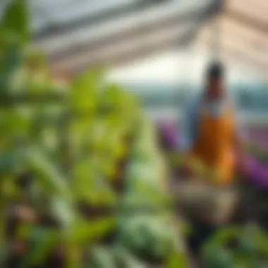 Notable Exploring Farming as a Service: The Future of Agriculture and Technology Notable Exploring Farming as a Service: The Future of Agriculture and Technology