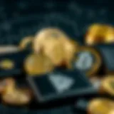 A visual representation of various crypto wallets designed for altcoins