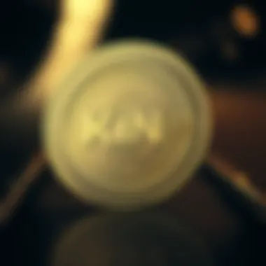 Future Predictions for Kin Coin Future predictions for Kin Coin