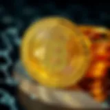 Navigating Blockchain Transactions: A Comprehensive Guide Introduction
