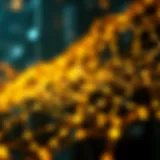 A visual representation of the blockchain network