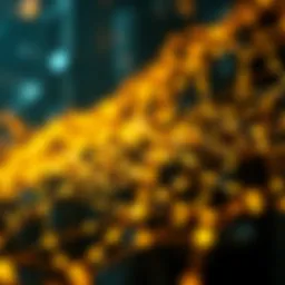 A visual representation of the blockchain network