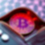 Visual representation of NFT ownership in a digital wallet