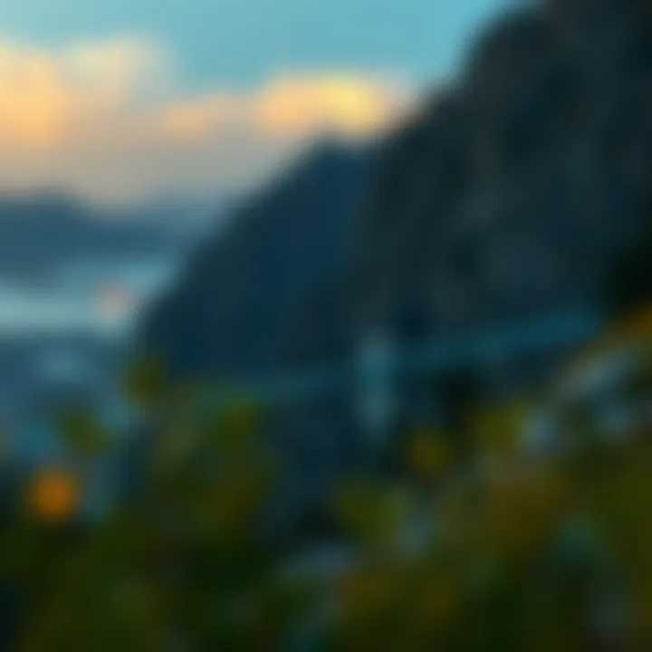 A timeline showcasing the history of SkyBridge Capital