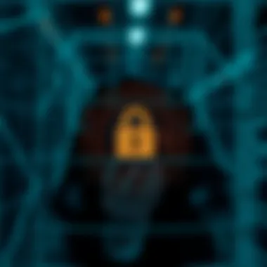 Privacy in the Digital Age Symbolic depiction of privacy in the digital age